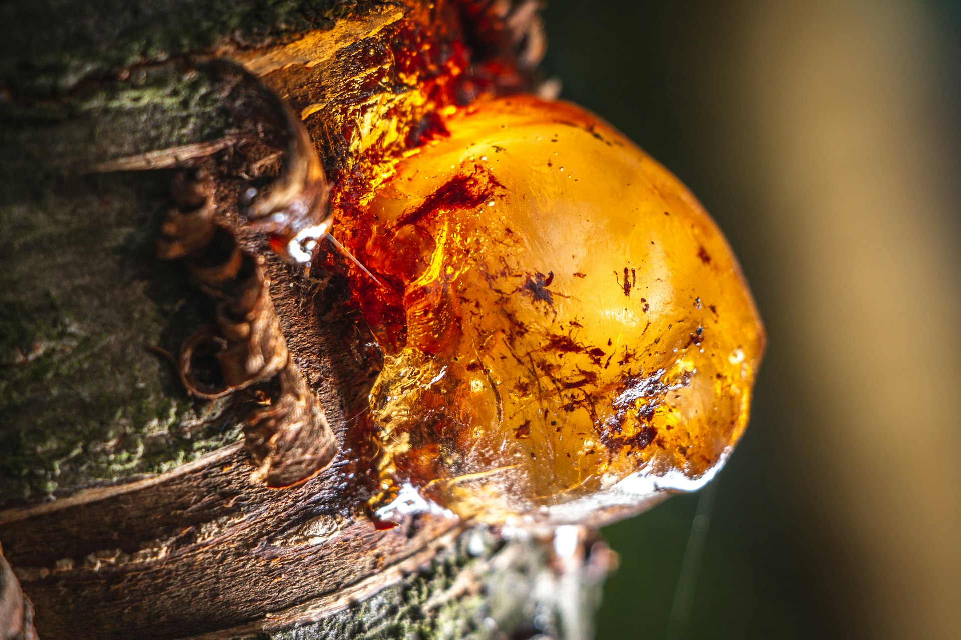 a close up of a fire
